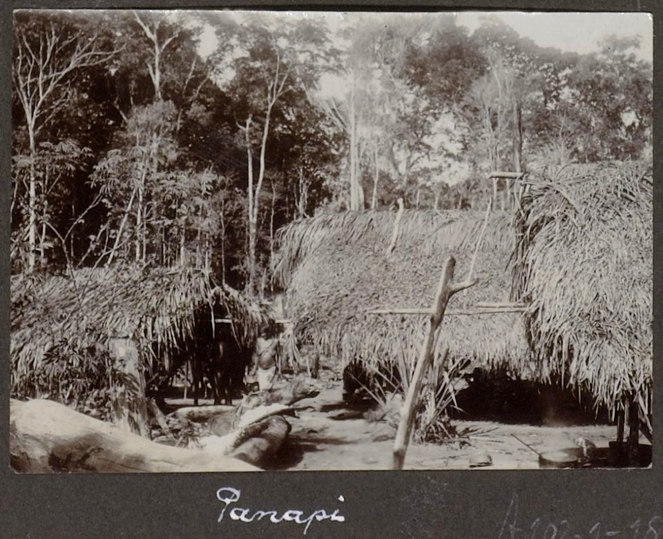 Collectie NMvWereldculturen, RV-A102-1-186, 'Panapi'. Foto- G.M. Versteeg, 1903-1904