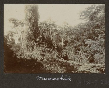 Collectie NMvWereldculturen, RV-A102-1-208, 'Moeraskiek'. Foto- G.M. Versteeg, 1903-1904