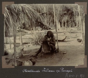 Collectie NMvWereldculturen, RV-A102-1-193, 'Vlechtende indiaan op Panapi'. Foto- G.M. Versteeg, 1903-1904