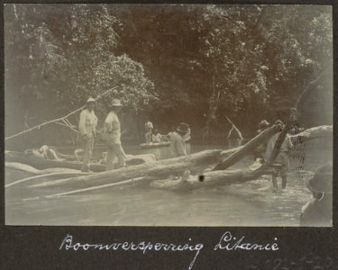 Collectie NMvWereldculturen, RV-A102-1-205, 'Boomversperring Litanie'. Foto- G.M. Versteeg, 1903-1904
