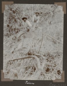 Collectie NMvWereldculturen, RV-A102-1-222, 'Helling Knoppojamooi'. Foto- G.M. Versteeg, 1903-1904