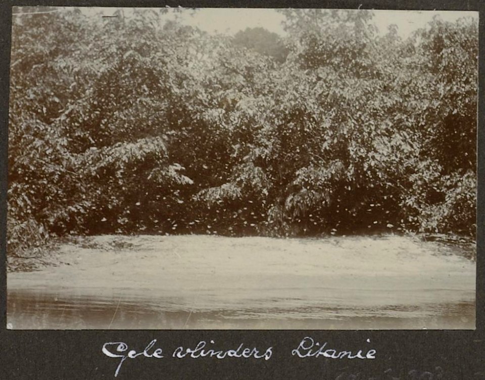 Collectie NMvWereldculturen, RV-A102-1-203, 'Gele vlinders Litanie'. Foto- G.M. Versteeg, 1903-1904