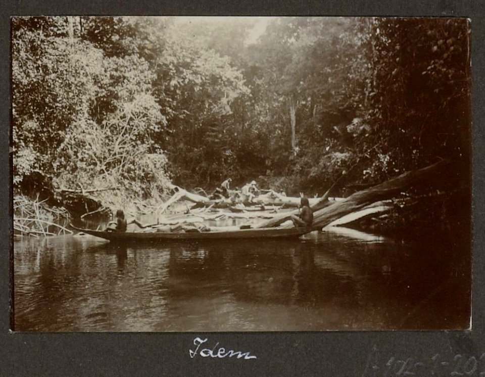 Collectie NMvWereldculturen, RV-A102-1-207, 'Boomversperring Litanie'. Foto- G.M. Versteeg, 1903-1904