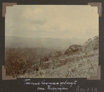 Collectie NMvWereldculturen, RV-A102-1-233, 'Toemachoemaegebergte van Knoppajamooi'. Foto- G.M. Versteeg, 1903-1904