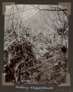 Collectie NMvWereldculturen, RV-A102-1-221, 'Helling Knoppojamooi'. Foto- G.M. Versteeg, 1903-1904