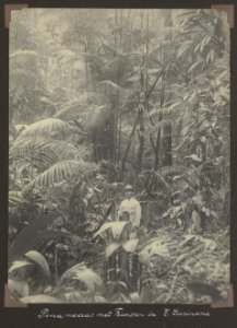 Collectie NMvWereldculturen, RV-A102-1-225, 'Pinamoeras met A. Franssen Herderschee in Zuid Suriname'. Foto- G.M. Versteeg, 1903-1904