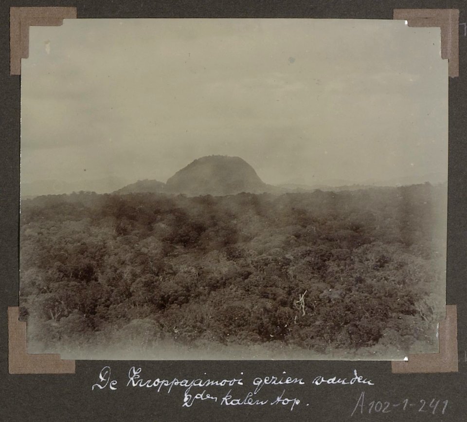 Collectie NMvWereldculturen, RV-A102-1-241, 'De knoppajamooi gezien van den tweeden kalen top'. Foto- G.M. Versteeg, 1903-1904