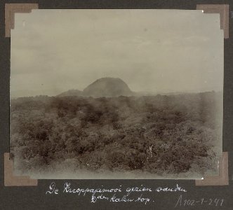 Collectie NMvWereldculturen, RV-A102-1-241, 'De knoppajamooi gezien van den tweeden kalen top'. Foto- G.M. Versteeg, 1903-1904