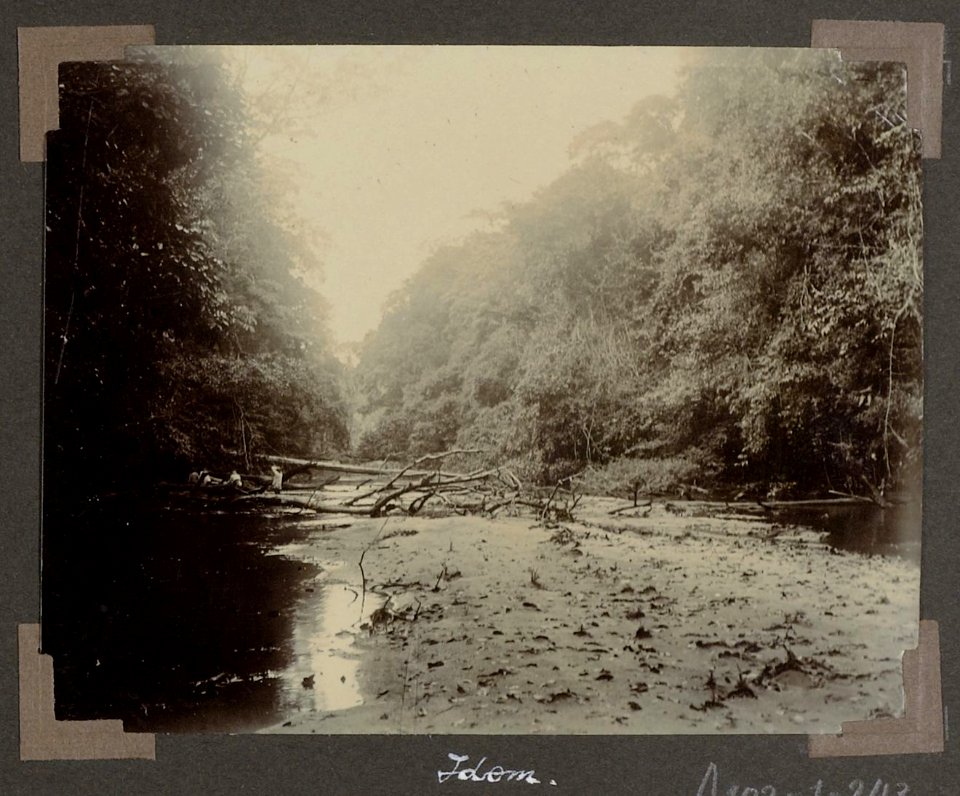 Collectie NMvWereldculturen, RV-A102-1-243, 'Boomversperring Litanie'. Foto- G.M. Versteeg, 1903-1904
