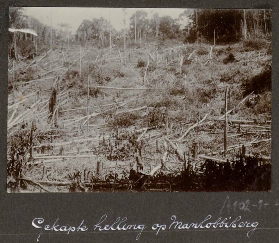 Collectie NMvWereldculturen, RV-A102-1-43, 'Gekapte helling op Manlobbiberg'. Foto- G.M. Versteeg, 1903-1904