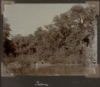 Collectie NMvWereldculturen, RV-A102-1-28, 'Opgaan van Singatetee'. Foto- G.M. Versteeg, 1903-1904