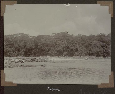 Collectie NMvWereldculturen, RV-A102-1-58, 'Gransoela in de Gonini'. Foto- G.M. Versteeg, 1903-1904