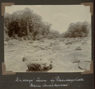 Collectie NMvWereldculturen, RV-A102-1-77, 'De 'droge' Lawa bij Pikiendagohidde. Kleine hondekopval'. Foto- G.M. Versteeg, 1903-1904