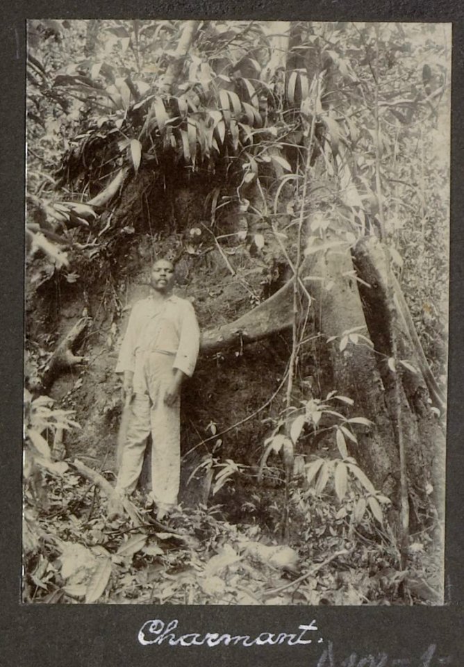 Collectie NMvWereldculturen, RV-A102-1-98, 'Charmant'. Foto- G.M. Versteeg, 1903-1904