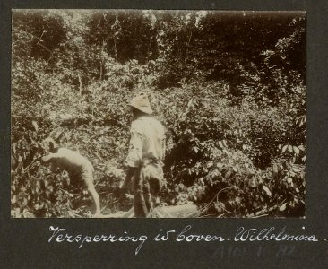 Collectie NMvWereldculturen, RV-A102-1-82, 'Versperring in de boven Wilhelmina'. Foto- G.M. Versteeg, 1903-1904