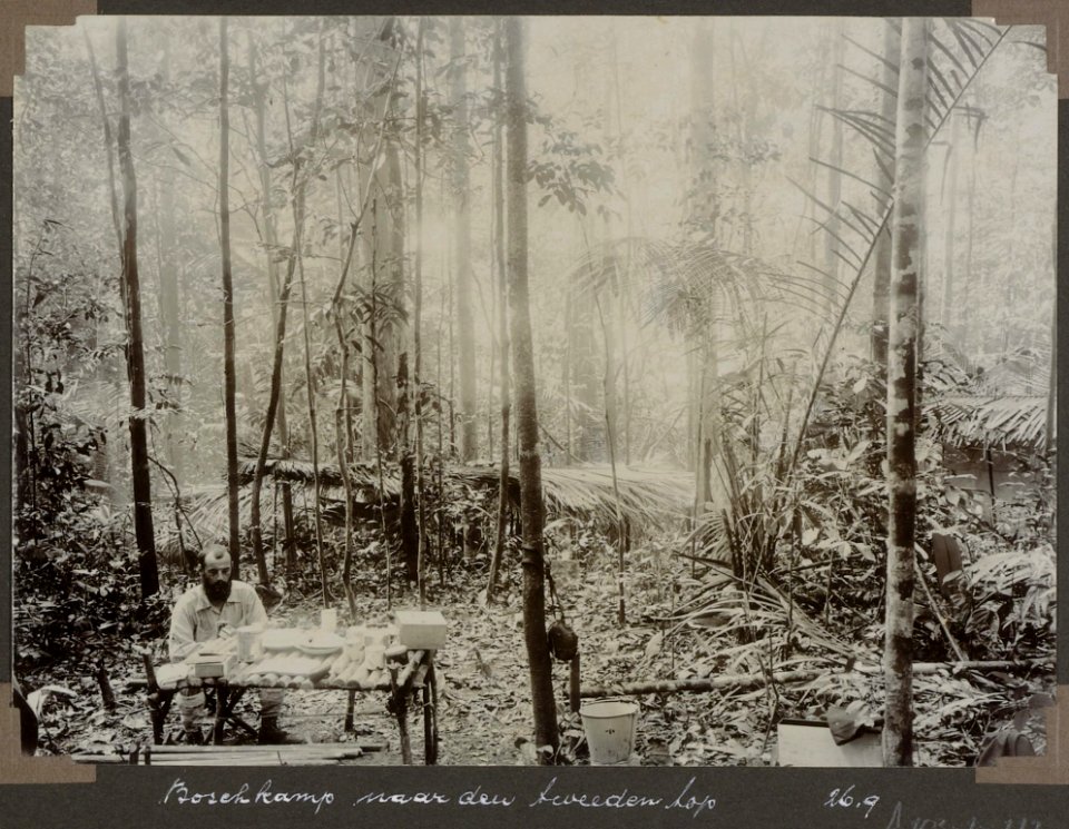 Collectie NMvWereldculturen, RV-A103-1-112, 'Boschkamp naar den tweeden top. G.M. Versteeg'. Foto- G.M. Versteeg, 26 september 1904