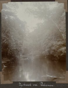 Collectie NMvWereldculturen, RV-A103-1-126, 'Zijkreek van de Paloemeu.'. Foto- G.M. Versteeg, 1904