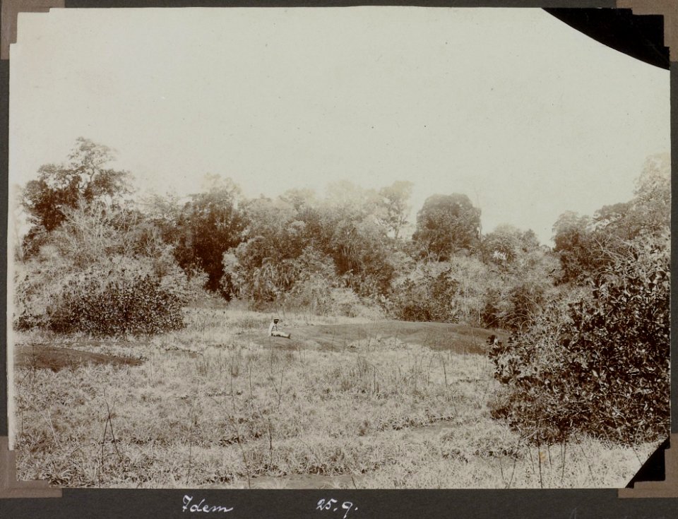 Collectie NMvWereldculturen, RV-A103-1-107, 'Rotsplaat in het bosch met Kassikassima'. Foto- G.M. Versteeg, 25 september 1904