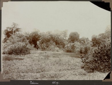 Collectie NMvWereldculturen, RV-A103-1-107, 'Rotsplaat in het bosch met Kassikassima'. Foto- G.M. Versteeg, 25 september 1904