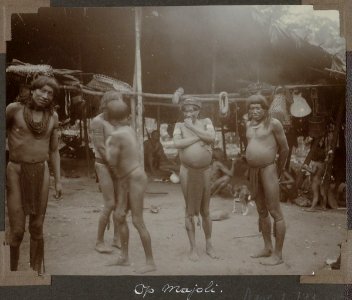 Collectie NMvWereldculturen, RV-A103-1-133, 'Op Majoli'. Foto- G.M. Versteeg, 1904