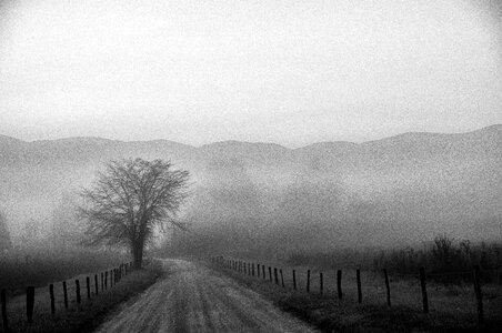 Black and white fog scenery photo