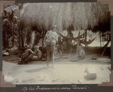 Collectie NMvWereldculturen, RV-A103-1-130, 'Op het Indiaansche dorp Toewoli'. Foto- G.M. Versteeg, 1904
