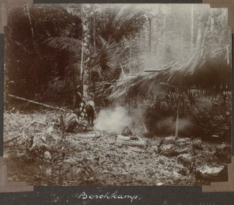 Collectie NMvWereldculturen, RV-A103-1-144, 'Boschkamp'. Foto- G.M. Versteeg, 1904