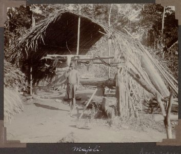 Collectie NMvWereldculturen, RV-A103-1-134, 'Majoli'. Foto- G.M. Versteeg, 1904
