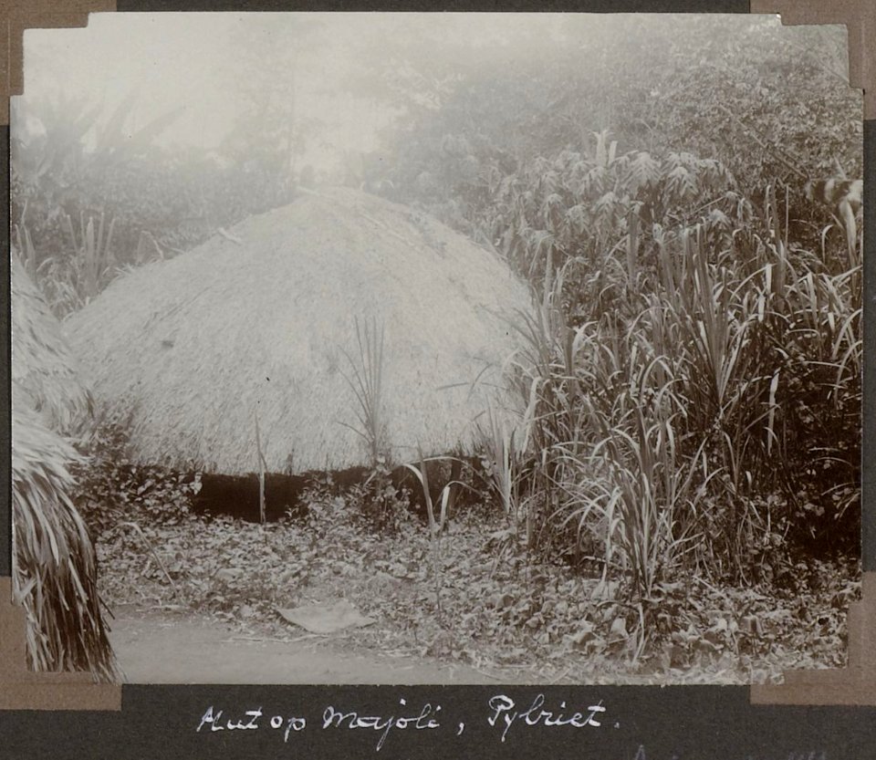 Collectie NMvWereldculturen, RV-A103-1-141, 'Hut op Majoli, pijlriet'. Foto- G.M. Versteeg, 1904