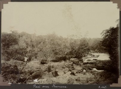 Collectie NMvWereldculturen, RV-A103-1-155, 'Pad over Iramera'. Foto- G.M. Versteeg, 3 oktober 1904