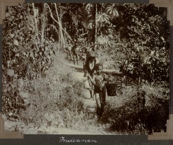 Collectie NMvWereldculturen, RV-A103-1-145, 'Indianen'. Foto- G.M. Versteeg, 1904
