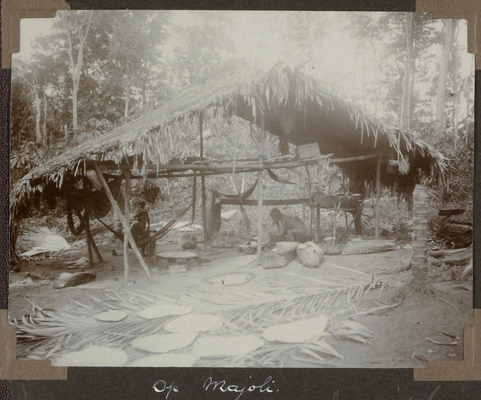 Collectie NMvWereldculturen, RV-A103-1-136, 'Op Majoli'. Foto- G.M. Versteeg, 1904