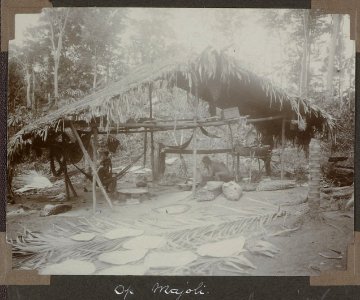 Collectie NMvWereldculturen, RV-A103-1-136, 'Op Majoli'. Foto- G.M. Versteeg, 1904