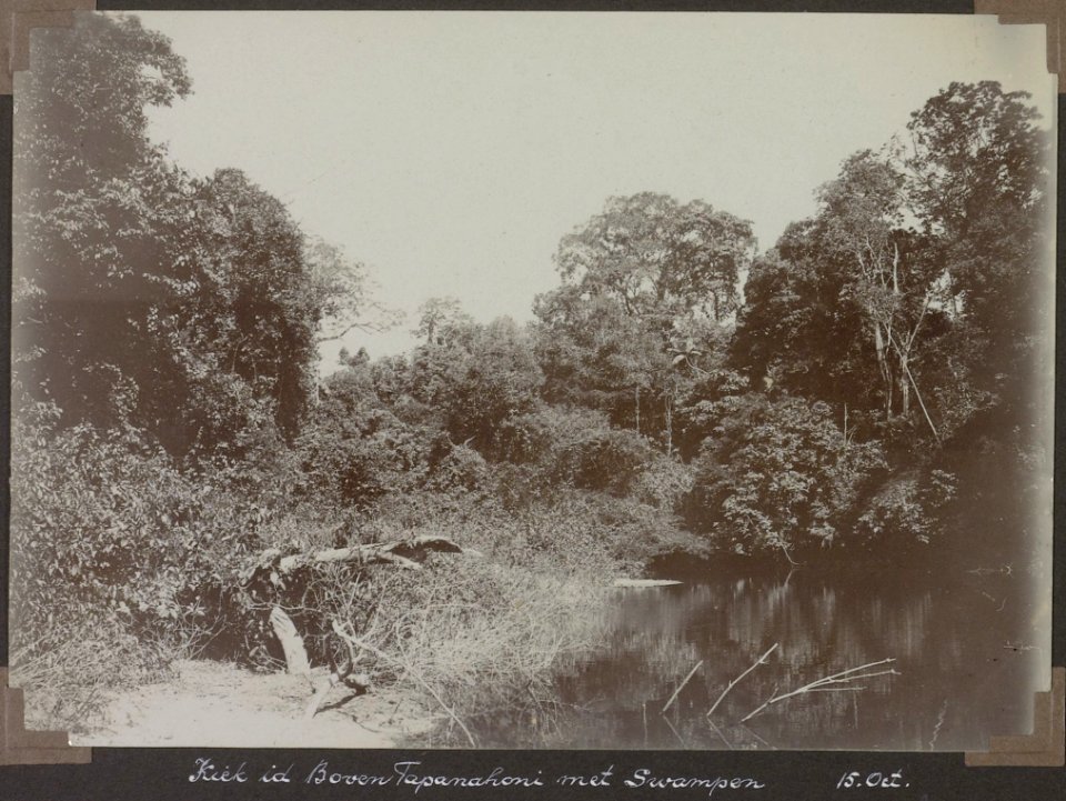 Collectie NMvWereldculturen, RV-A103-1-159, 'Kiek in de Boven Tapanahoni met Swampen'. Foto- G.M. Versteeg, 15 oktober 1904