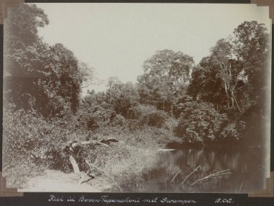 Collectie NMvWereldculturen, RV-A103-1-159, 'Kiek in de Boven Tapanahoni met Swampen'. Foto- G.M. Versteeg, 15 oktober 1904