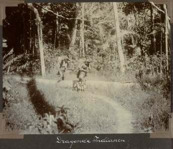 Collectie NMvWereldculturen, RV-A103-1-143, 'Dragende Indianen'. Foto- G.M. Versteeg, 1904