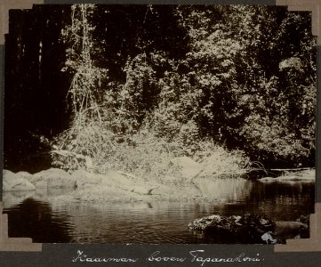 Collectie NMvWereldculturen, RV-A103-1-150, 'Kaaiman boven Tapanahoni.'. Foto- G.M. Versteeg, 1904
