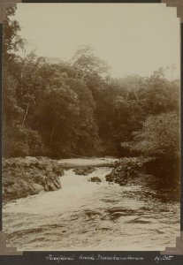 Collectie NMvWereldculturen, RV-A103-1-173, 'Hoofdval tweede Marakanakoewa'. Foto- G.M. Versteeg, 19 oktober 1904