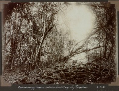 Collectie NMvWereldculturen, RV-A103-1-154, 'Een drooggeloopen rivierbedding bij Tagatai'. Foto- G.M. Versteeg, 2 oktober 1904