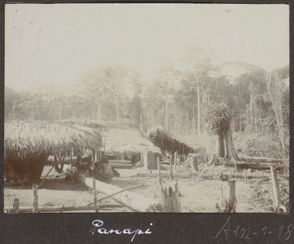 Collectie NMvWereldculturen, RV-A102-1-185, 'Panapi'. Foto- G.M. Versteeg, 1903-1904