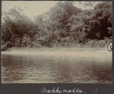 Collectie NMvWereldculturen, RV-A102-1-202, 'Mokkomokko'. Foto- G.M. Versteeg, 1903-1904