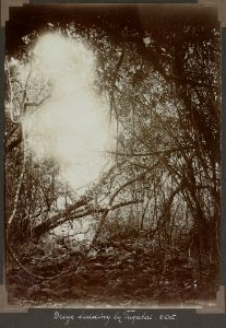 Collectie NMvWereldculturen, RV-A103-1-210, 'Droge bedding bij Tagatai'. Foto- G.M. Versteeg, 2 oktober 1904