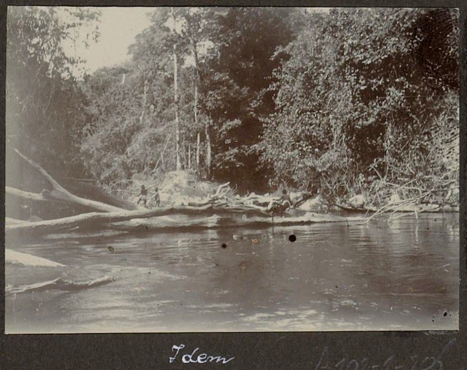 Collectie NMvWereldculturen, RV-A102-1-206, 'Boomversperring Litanie'. Foto- G.M. Versteeg, 1903-1904