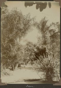 Collectie NMvWereldculturen, RV-A103-1-201, 'Granbori'. Foto- G.M. Versteeg, 5 november 1904