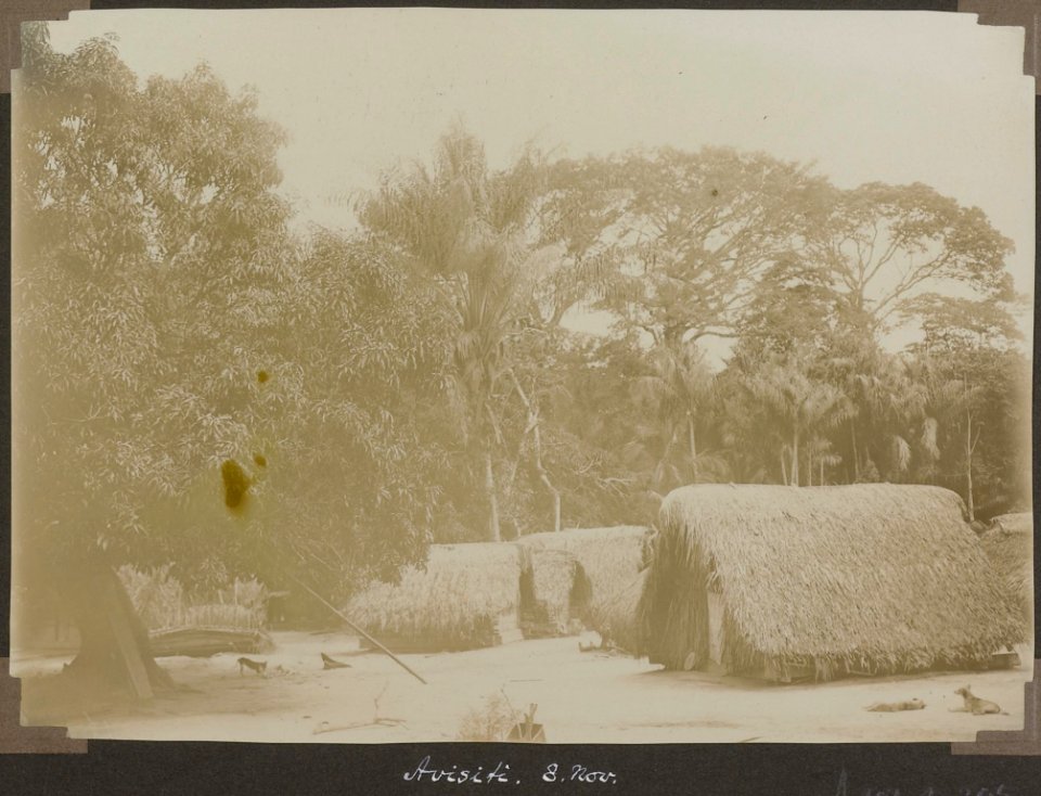 Collectie NMvWereldculturen, RV-A103-1-205, 'Avisiti'. Foto- G.M. Versteeg, 8 november 1904