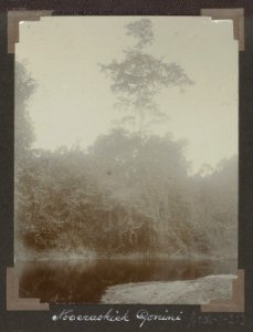 Collectie NMvWereldculturen, RV-A102-1-213, 'Moeraskiek Gonini'. Foto- G.M. Versteeg, 1903-1904