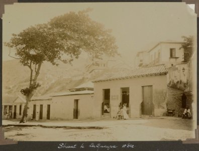 Collectie NMvWereldculturen, RV-A103-1-231, 'Straat te la Guayra'. Foto- G.M. Versteeg, 15 december 1904