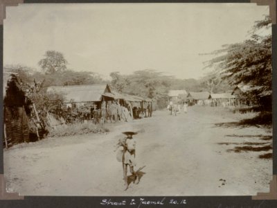 Collectie NMvWereldculturen, RV-A103-1-246, 'Straat te Jacmel'. Foto- G.M. Versteeg, 20 december 1904