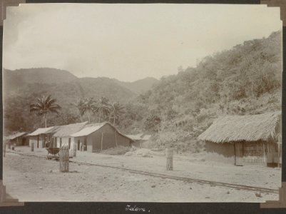 Collectie NMvWereldculturen, RV-A103-1-223, 'Christoforo Colombo. Hunter'. Foto- G.M. Versteeg, 11 december 1904
