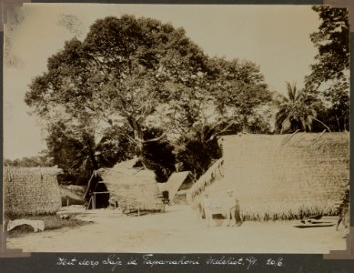Collectie NMvWereldculturen, RV-A103-1-24, 'Het dorp Saje in de Tapanahoni. Melchiot, G.M. Versteeg'. Foto- G.M. Versteeg, 20 juli 1904